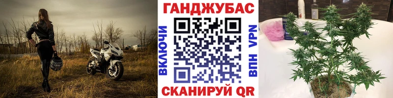 Шишки марихуана гибрид  хочу наркоту  mega вход  Пестово 